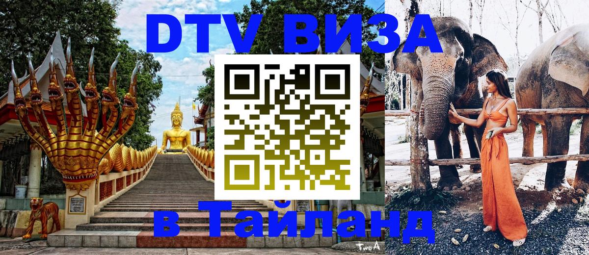 Оформление DTV визы под ключ: стоимость и тарифы, только загранпаспорт - Каспийск  03.10.2025 